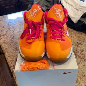 LEBRON IX LOW - FLORIDIAN